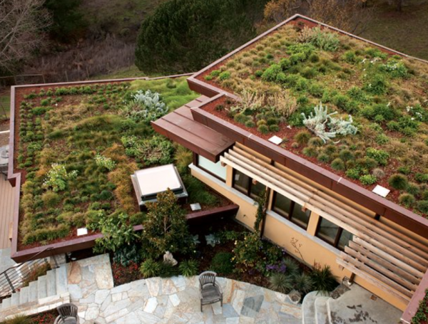 Desain atap datar dengan taman hijau